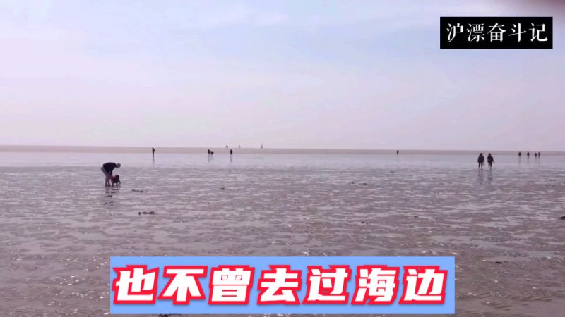 上海市奉贤区碧海金沙海边,赶海好去处,又一网红打卡地