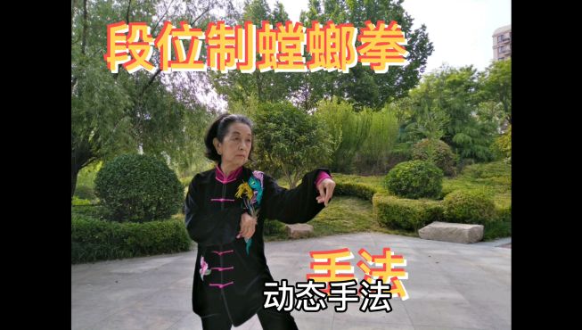 [图]段位制螳螂拳（连环劈）以腰带臂