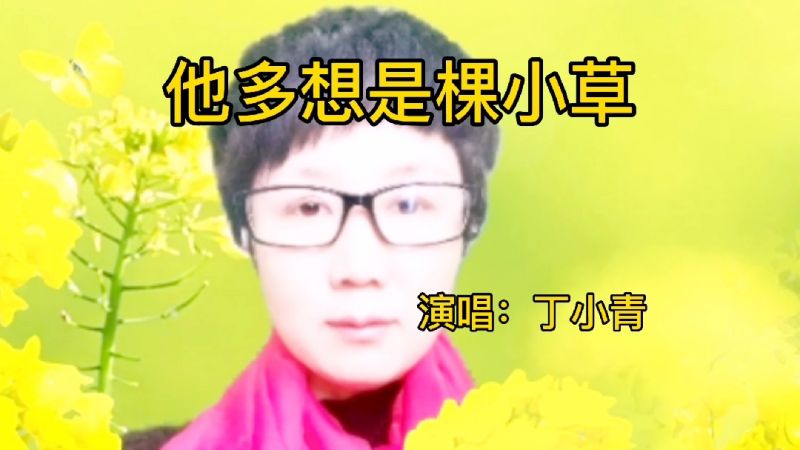 丁小青演唱他多想是棵小草甜美的声音一听就会爱上