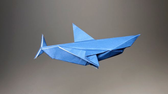 创意手工折纸,海洋凶猛巨兽大鲨鱼的折叠方法