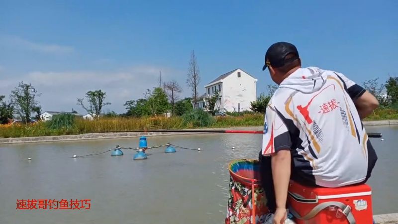 打浮钓鲫鲤鱼技巧方法打浮钓法实战详解,体育,钓鱼,好看视频
