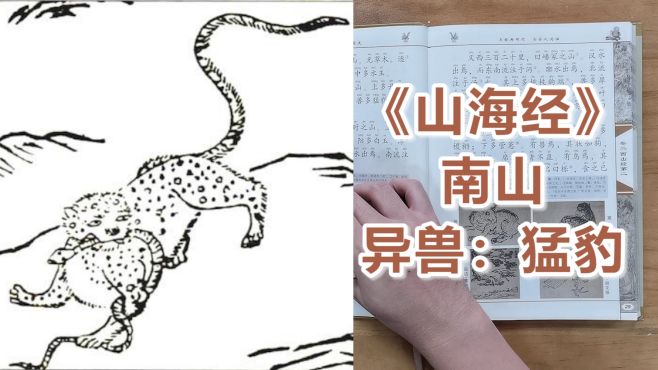 [图]《山海经》vol13南山异兽-猛豹！