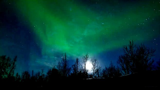 [图]古典音乐 尼尼罗素 夜空中的小号