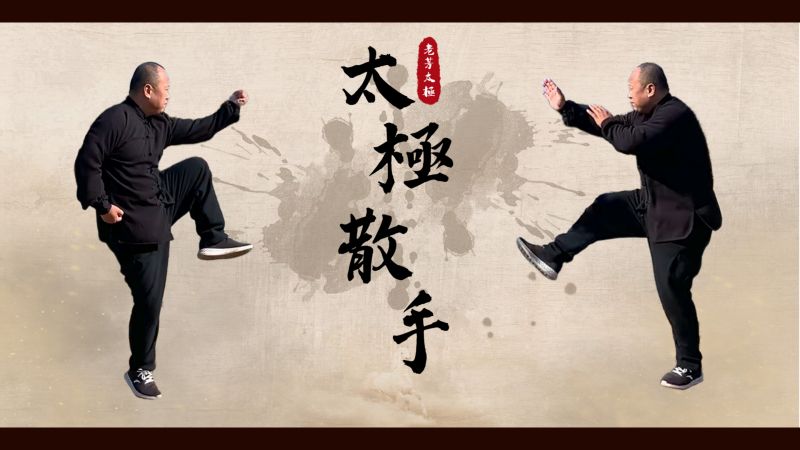太极散手实战用法演练,散手技击的方向与目的用法讲解,体育,武术,好看视频
