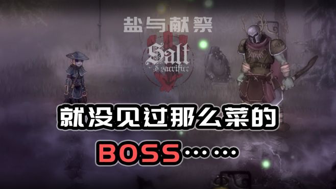 [图]【盐与献祭】怪都比BOSS难打……《Salt and Sacrifice》