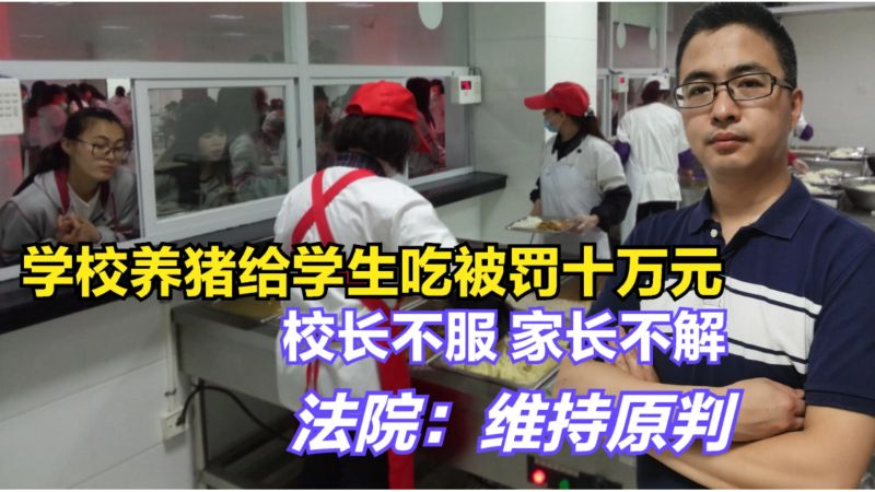 学校养猪给学生吃被罚10万元，校长不服上诉，家长也说该罚,教育,教育资讯,好看视频