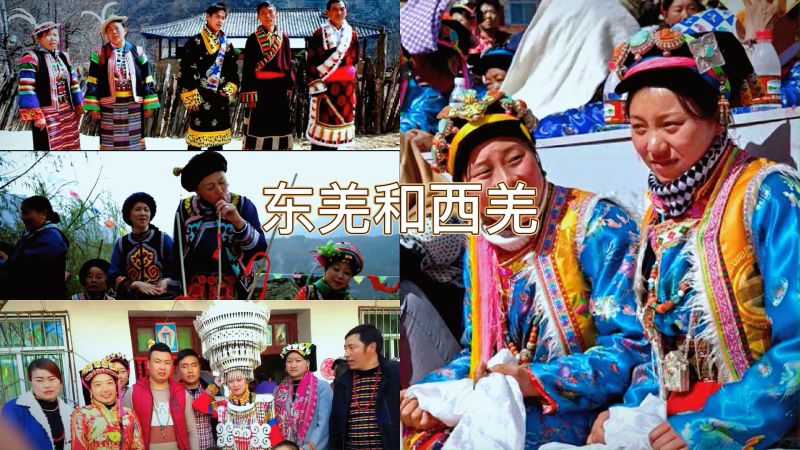 东羌和西羌的阐述,文化,文化综合,好看视频