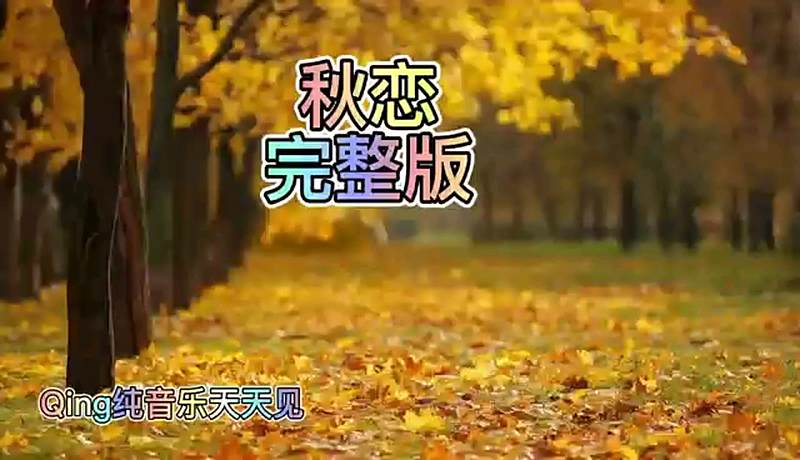《秋恋》纯音乐完整版,音乐,古典及轻音乐,好看视频