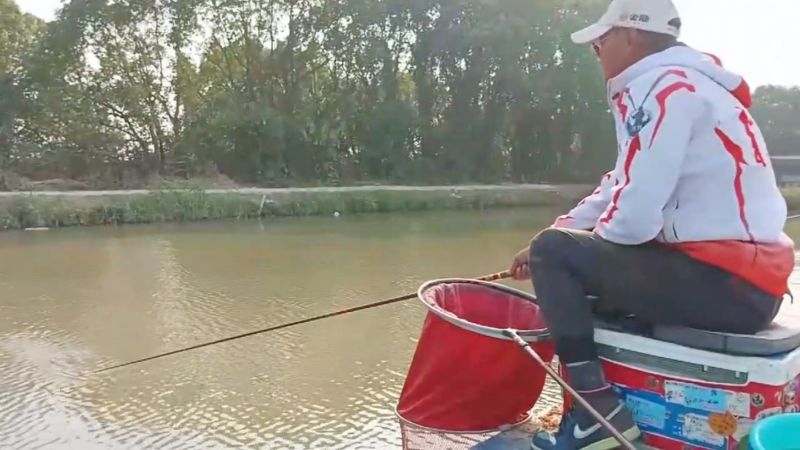 鲤鱼打浮钓法技巧，鲫鱼鲤鱼如何打浮视频，黑坑打浮用多长浮漂,体育,钓鱼,好看视频