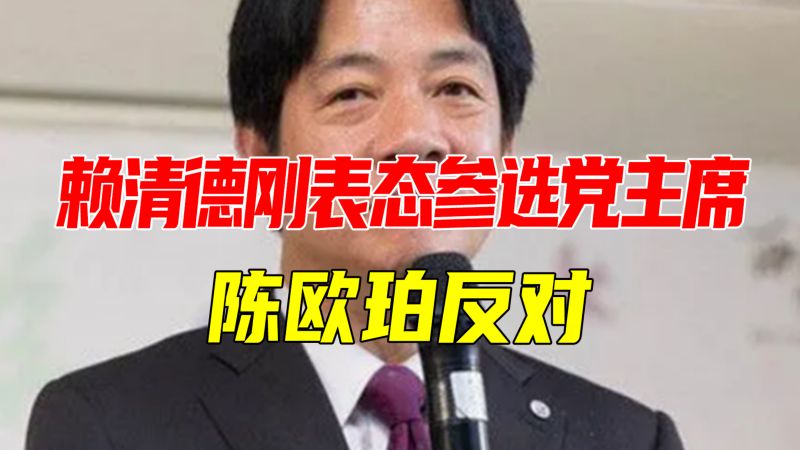 蔡英文下台,民进党内讧了?赖清德刚表态参选党主席,陈欧珀反对