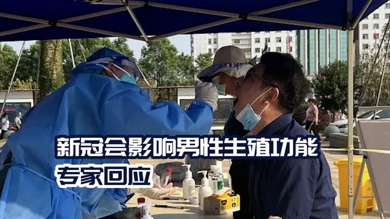 新冠会影响男性生殖功能?专家:短期质量下降,36个月内会恢复,社会,民生,好看视频