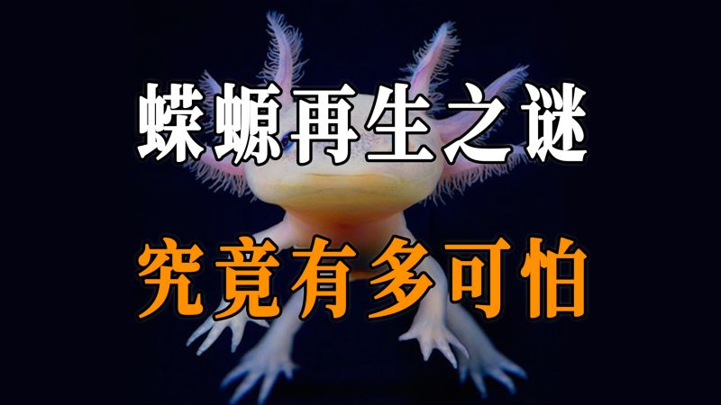 拥有不死之身的蝾螈，究竟有多可怕？哪怕切掉心脏，一样可以再生,科学,生命科学,好看视频