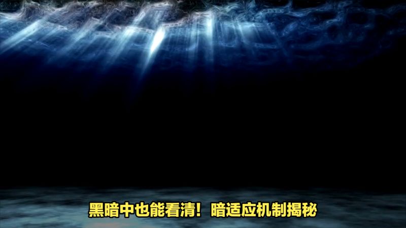 黑暗中也能看清!暗适应机制揭秘,科学,生命科学,好看视频