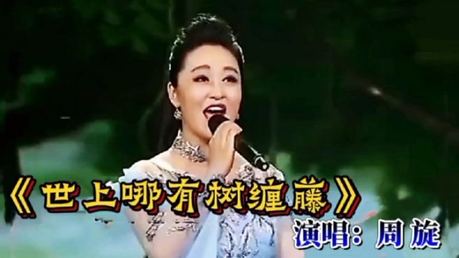 [图]《世上哪有树缠藤》演唱：周 旋、电影《刘三姐》插曲