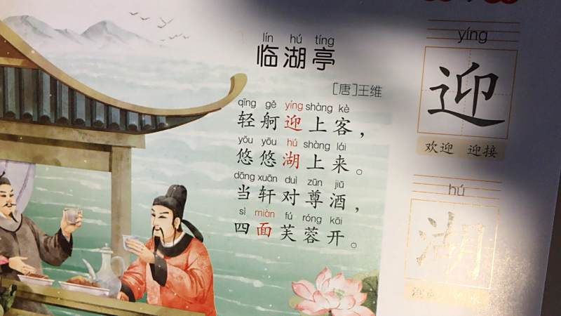 dora演读古诗王维的临湖亭我们假装对花喝酒